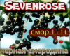 Cernaja smorodina