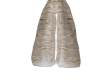 FloriaPantsV5
