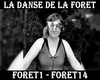 Danse de la foret S+D
