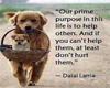 Cute Friends Quote