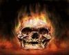 fire skull rug