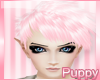 [Pup] Connor Blush M