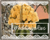 olive wedding photo spot