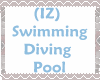 (IZ) Swim Diving Pool