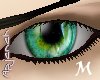 [apj] eye 44 M