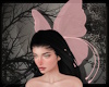 +Large Butterfly - blush
