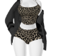 wild cat set