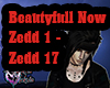 Zedd- Beautyfull Now