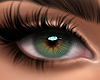Hazel Eyes