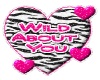 Wild about you