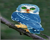 Bird Picture 4