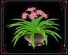 ~Potted Flower Plant~