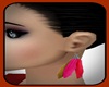 !  INDIANS EARRINGS