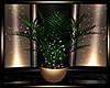 -J- New Years Plant