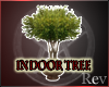 {ARU} Indoor Tree