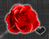 *Red Rose Wand