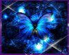 Nova's Blue Butterfly 3