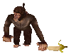 !BAD Monkey