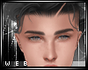 |W| Gray Dane