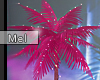 Mel*Tropical Palm