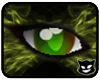 [PP] Green Eyes M