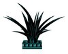 Teal and Blk Palm Plant