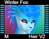 Winter Fox Hair M V2