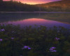 Sunset Lake Background