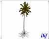 Exotic Palm Tree/Anim