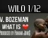 What Is Love Boze Rmx