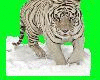 White Tiger picture  3D