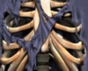 Rib Cage Shirt