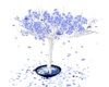 Blue Leaf tree