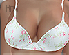 Brasier §