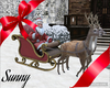 *SW* Santa on Sleigh