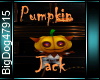 [BD]PumpkinJack