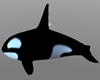 !Ani swimming Orca
