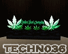 TECHNO GREEN LIMITED