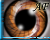 [AF]Autumn Eye