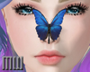 Who| Hi  Butterfly 2