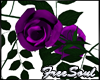 CEM Purple Roses Arch