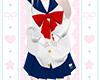 ᨳKitty School Set