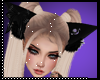 LV new black  cat
