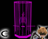 (C) Purple Caged