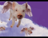 FLYING PIGS BACKDROP