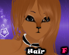 | Shi Hair 3 |