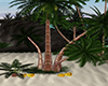 GL-Palm Beach Tree