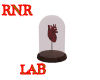 ~RnR~LAB HEART JAR