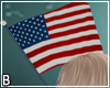 USA Flag Handheld UNI L