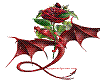 dargon with rose